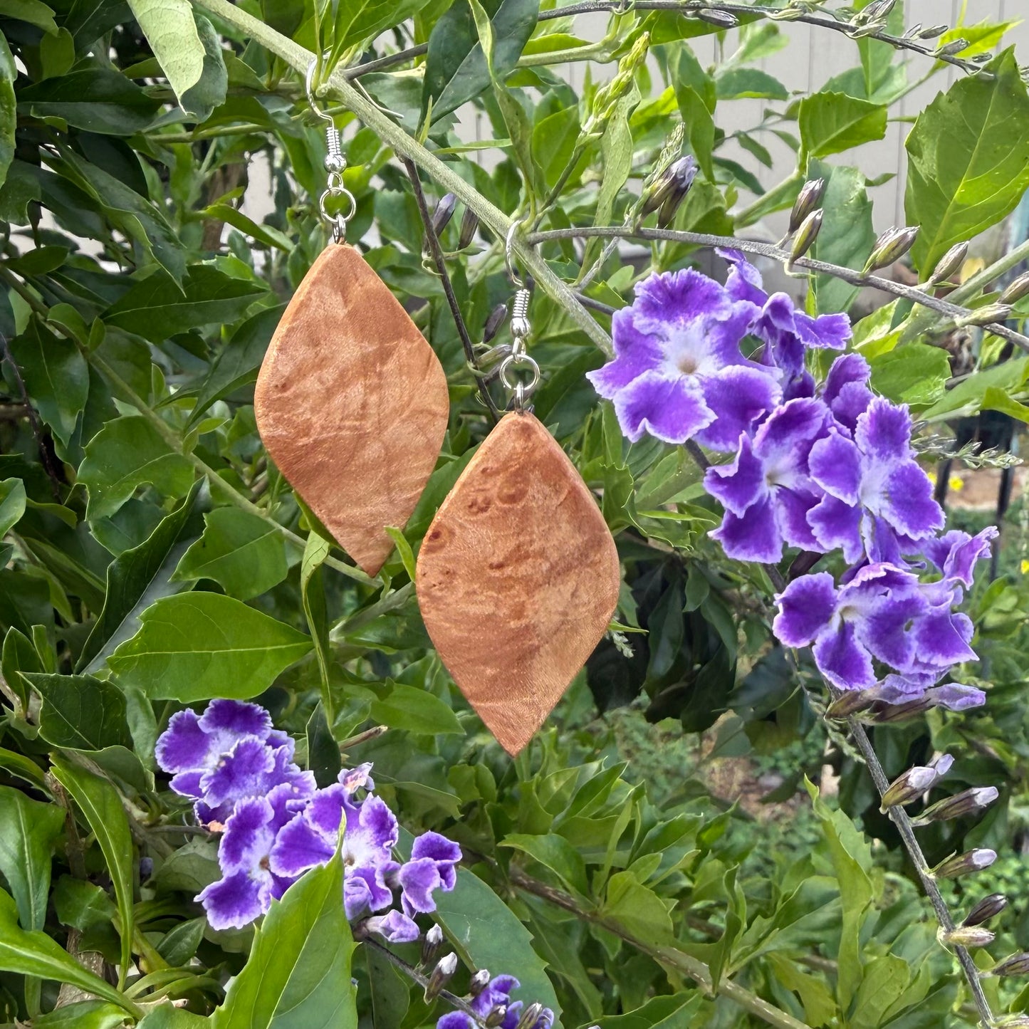 Maple Burl Earrings